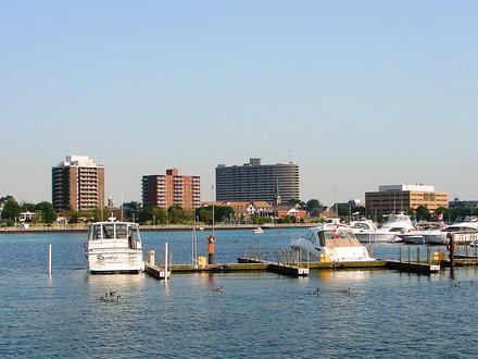 Zdjęcie dla: Sarnia Zdjęcie dla: Sarnia