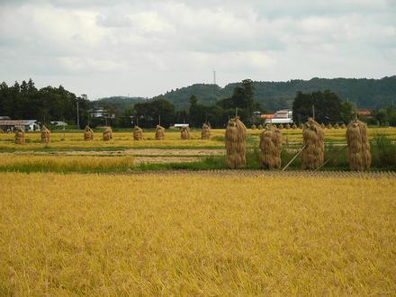 Image of Wakayanagi, Miyagi Image of Wakayanagi, Miyagi