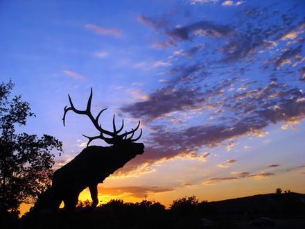Image of Elk Grove, California Image of Elk Grove, California