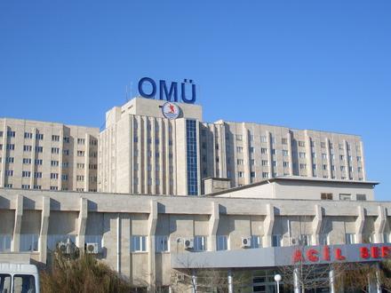 Samsun Resmi Samsun Resmi
