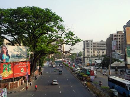 Image of Shahbag Image of Shahbag