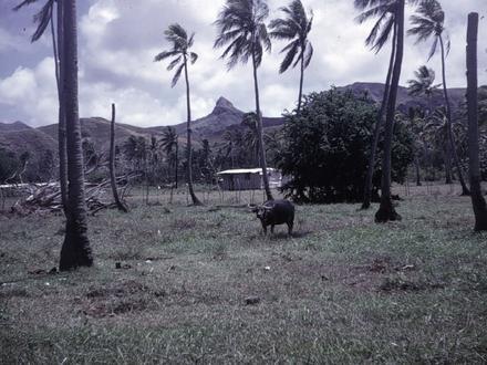 Image of Merizo, Guam Image of Merizo, Guam