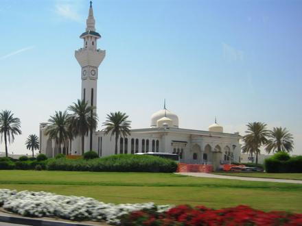 صورة الوكرة صورة الوكرة