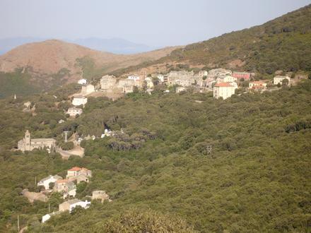 Imagen de Ersa Imagen de Ersa