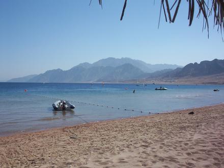 صورة دهب صورة دهب