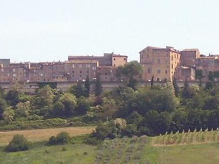 Immagine Carassai Immagine Carassai