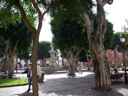 San Cristóbal de La Laguna Resmi San Cristóbal de La Laguna Resmi