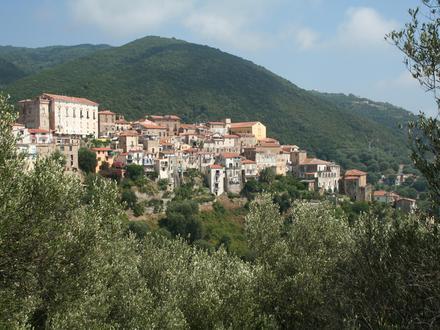 Image of Pisciotta Image of Pisciotta