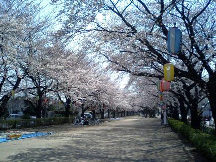 Image of Fujimino, Saitama Image of Fujimino, Saitama