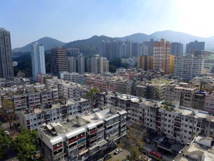 大埔 (香港)的图像 大埔 (香港)的图像