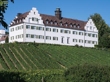 Immenstaad am Bodensee şəkli Immenstaad am Bodensee şəkli
