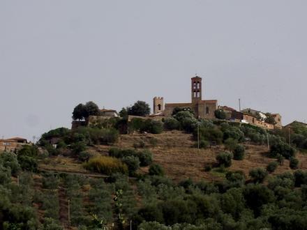 Immagine Montepescali Immagine Montepescali