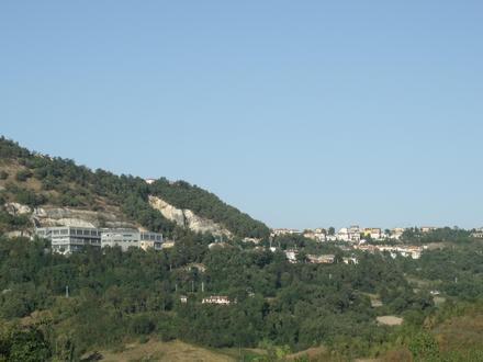 Fiorentino şəkli Fiorentino şəkli