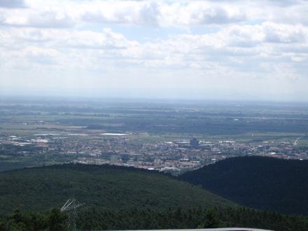 Bild von Neustadt an der Weinstraße Bild von Neustadt an der Weinstraße