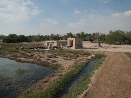 صورة الريان (قطر) صورة الريان (قطر)