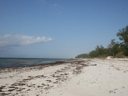 Image of Watamu Image of Watamu