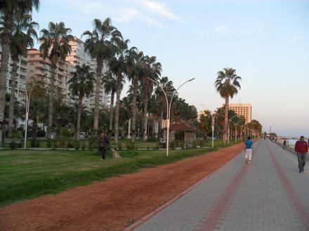 Mersin Resmi Mersin Resmi