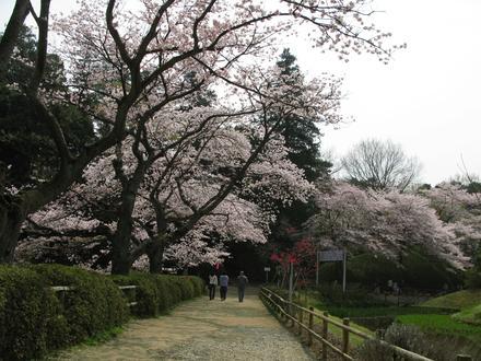 野田市の画像 野田市の画像