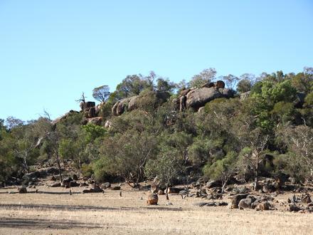 Image of Eugowra Image of Eugowra