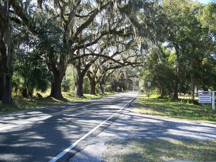 Image of Floral City, Florida Image of Floral City, Florida