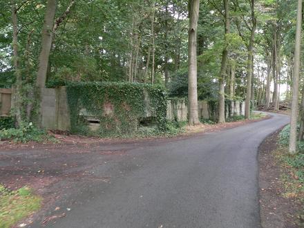 Afbeelding van Zedelgem Afbeelding van Zedelgem