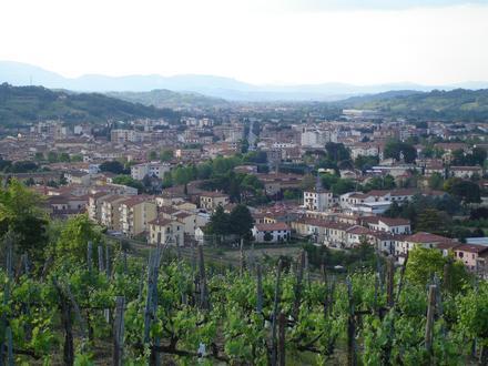Immagine Montevarchi Immagine Montevarchi