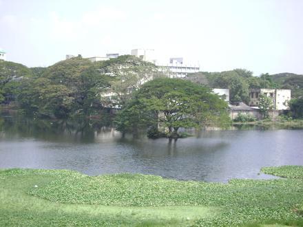 Image of Chetput (Chennai) Image of Chetput (Chennai)