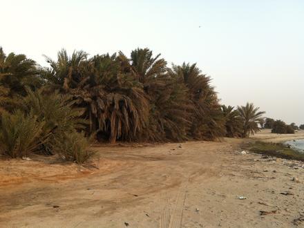 صورة أم باب صورة أم باب