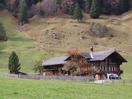 Immagine Lenk im Simmental Immagine Lenk im Simmental