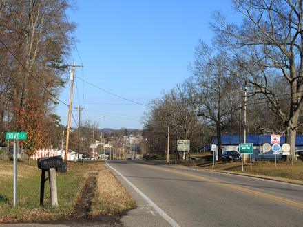 Imagen de White Pine (Tennessee) Imagen de White Pine (Tennessee)