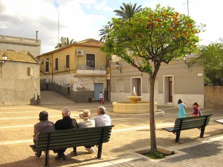 Immagine Elche Immagine Elche