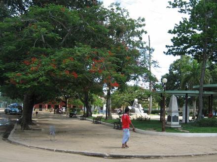 Melena del Sur Imagen