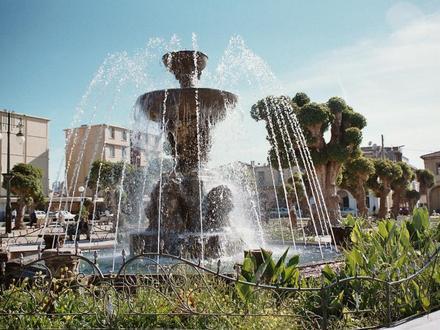 صورة شرشال صورة شرشال