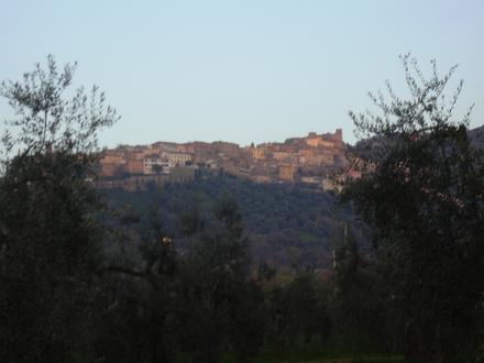 Immagine Scarlino Immagine Scarlino