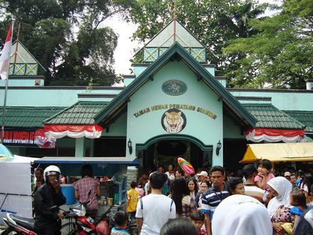 Hình ảnh về Pematangsiantar Hình ảnh về Pematangsiantar