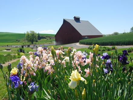 Image of Moscow, Idaho Image of Moscow, Idaho