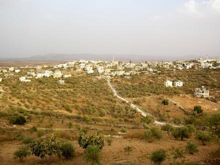 صورة السيلة الحارثية صورة السيلة الحارثية