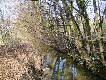 Afbeelding van Sint-Pieters-Woluwe Afbeelding van Sint-Pieters-Woluwe