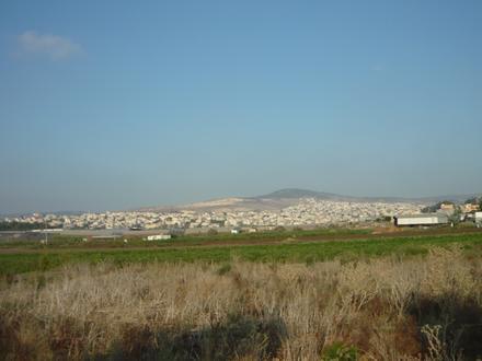 תמונה של טמרה תמונה של טמרה