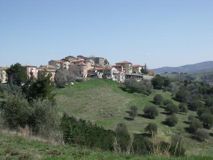 Immagine Cinigiano Immagine Cinigiano