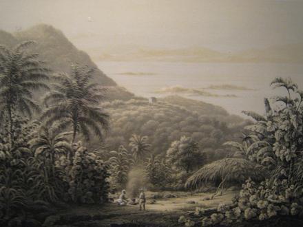 Immagine Saint John (Isole Vergini americane) Immagine Saint John (Isole Vergini americane)
