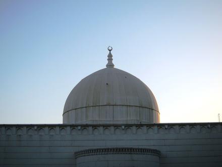 صورة حولي صورة حولي