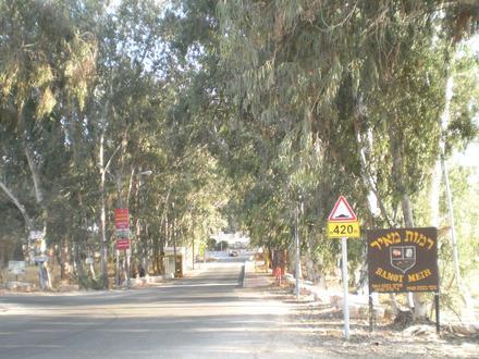 Image of Ramot Meir Image of Ramot Meir