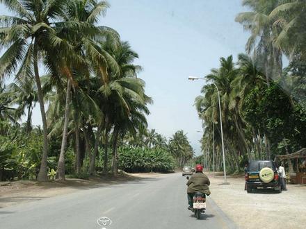 صورة صلالة صورة صلالة