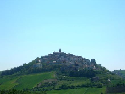 Immagine Forenza Immagine Forenza