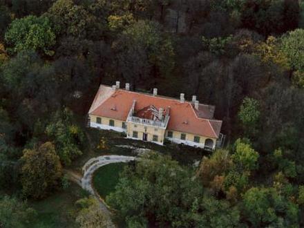 Pusztaszabolcs képe Pusztaszabolcs képe