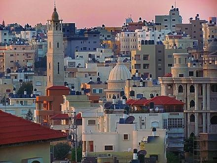 תמונה של טייבה תמונה של טייבה
