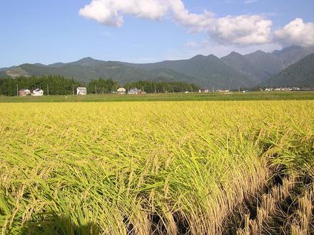 Image of Minami-Uonuma Image of Minami-Uonuma
