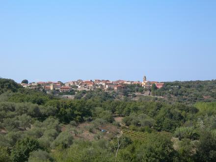 Immagine Sennariolo Immagine Sennariolo
