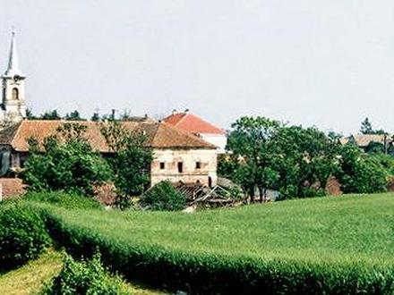 Imagine a Comuna Sânandrei, Timiș Imagine a Comuna Sânandrei, Timiș